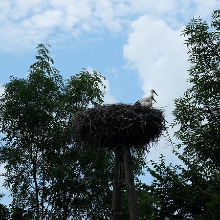 Impuls Bed & Breakfast Pilec Exterior foto