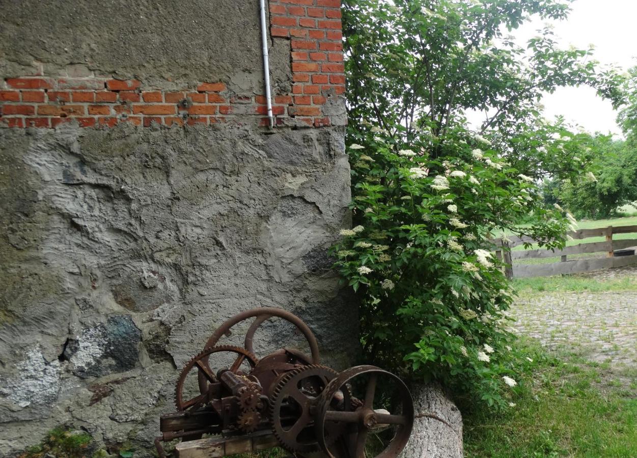 Impuls Bed & Breakfast Pilec Exterior foto