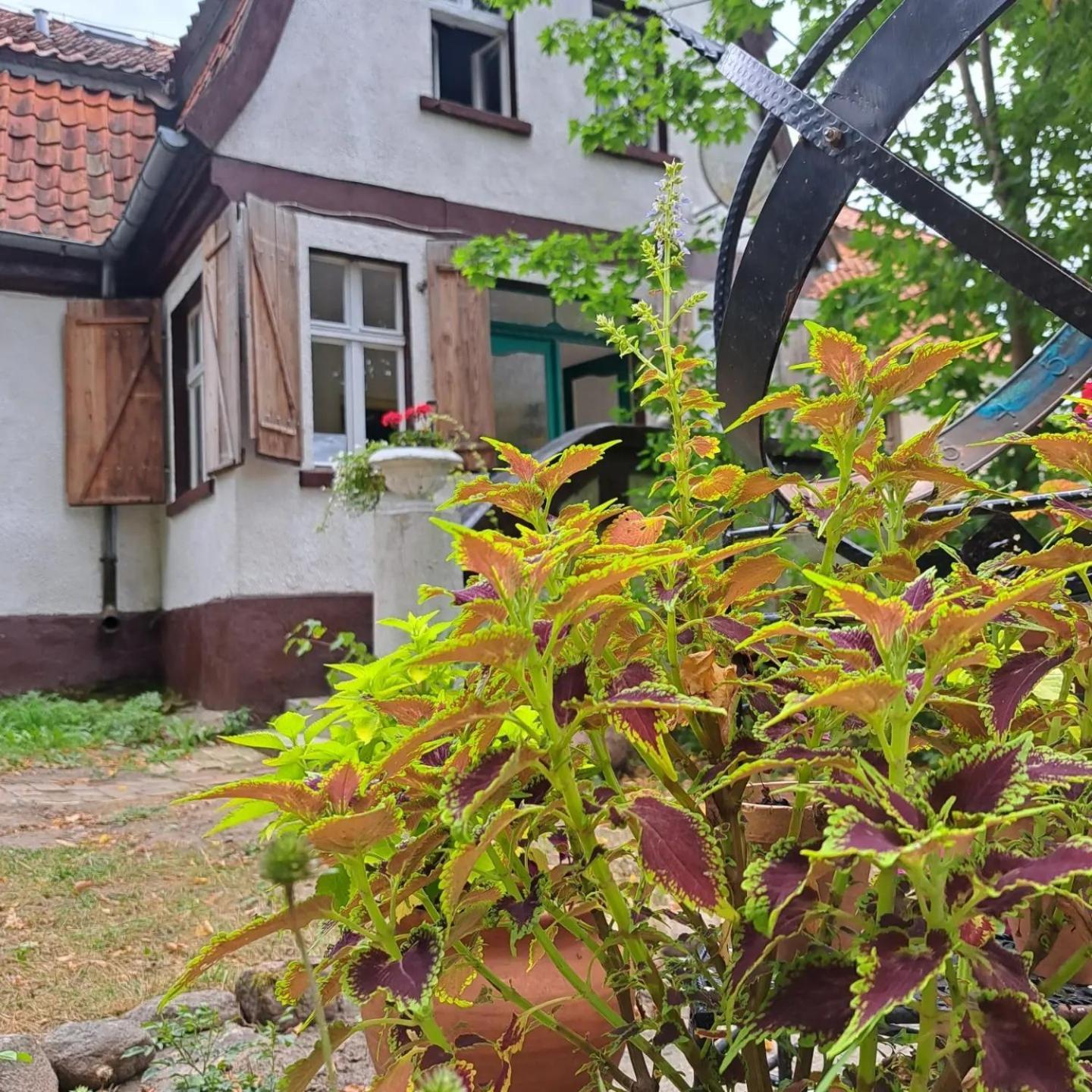 Impuls Bed & Breakfast Pilec Exterior foto