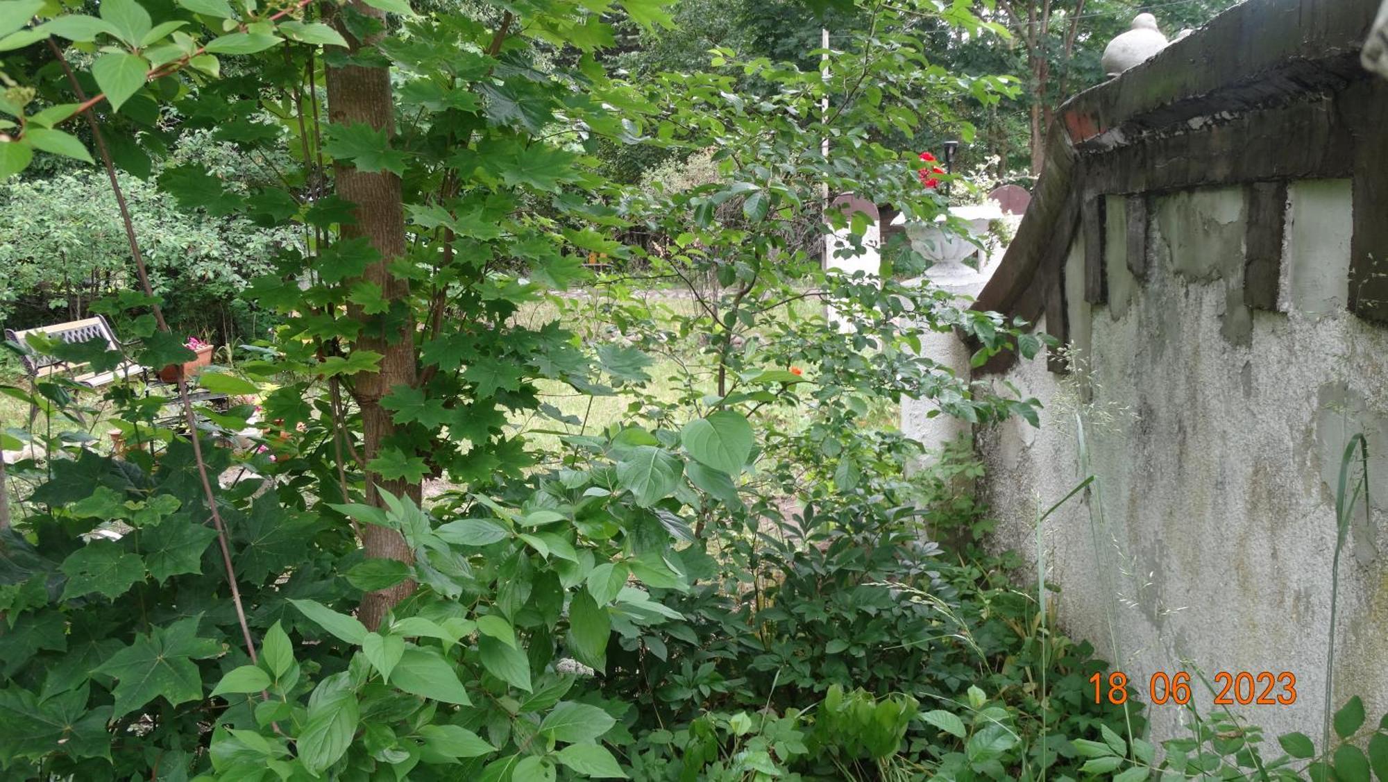 Impuls Bed & Breakfast Pilec Exterior foto